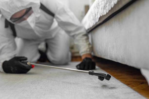 Professional Bed Bug Control technician working in Landover Hills, MD