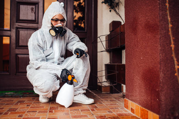 Reliable Bed Bug Control contractor in Landover Hills, MD by Nex Pest Control