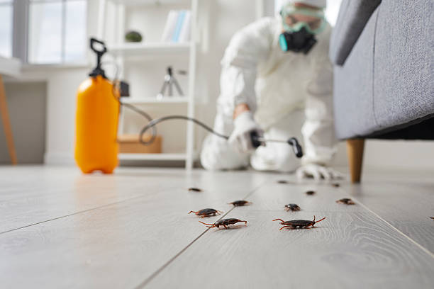 Trusted Bed Bug Control service in Landover Hills, MD - Nex Pest Control