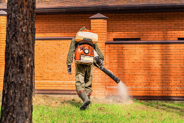Trusted Emergency Pest Control service in Landover Hills, MD - Nex Pest Control